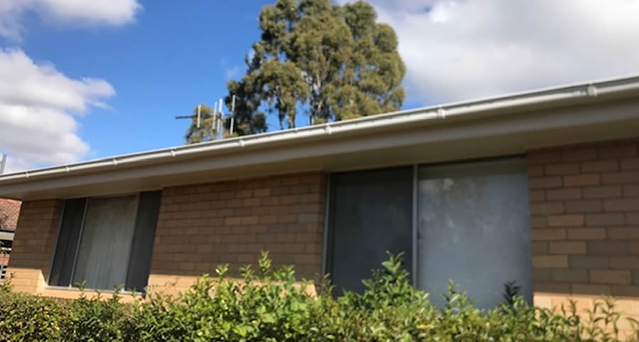 Painters Near Me: How to Choose the Best Local Professionals